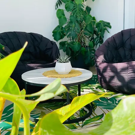 Bamboo suite * Bari