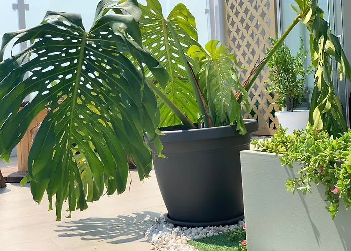 Bamboo Suite Бари