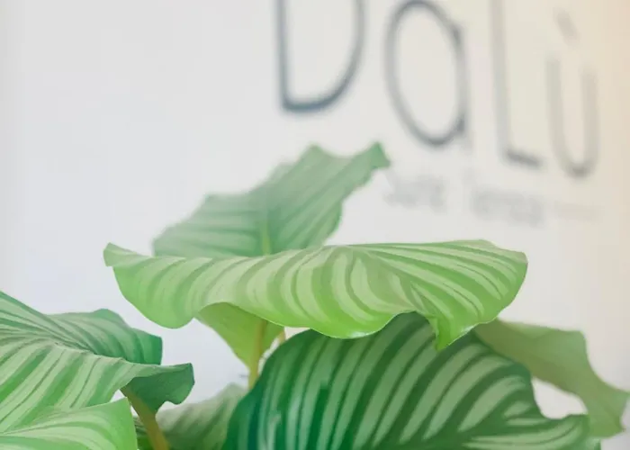 דירה Bamboo Suite בארי